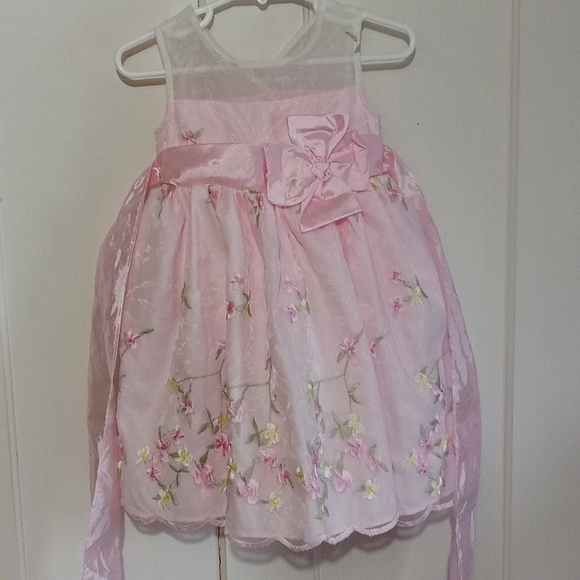 Jona Michelle Pink Floral Embroidered Formal/Special Occasion Dress 2T - Picture 3 of 5